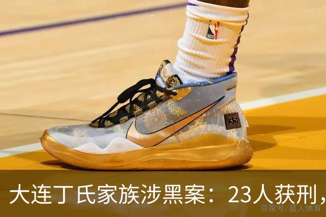 大连丁氏家族涉黑案：23人获刑，涉案资产2.05亿元（2019）