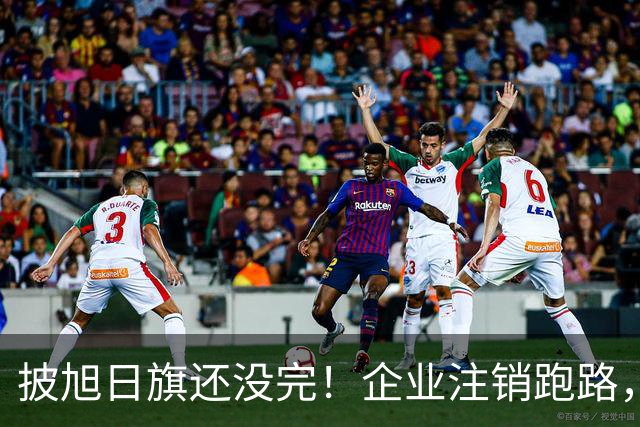 披旭日旗还没完！企业注销跑路，又揪出5个喊“一起披”的